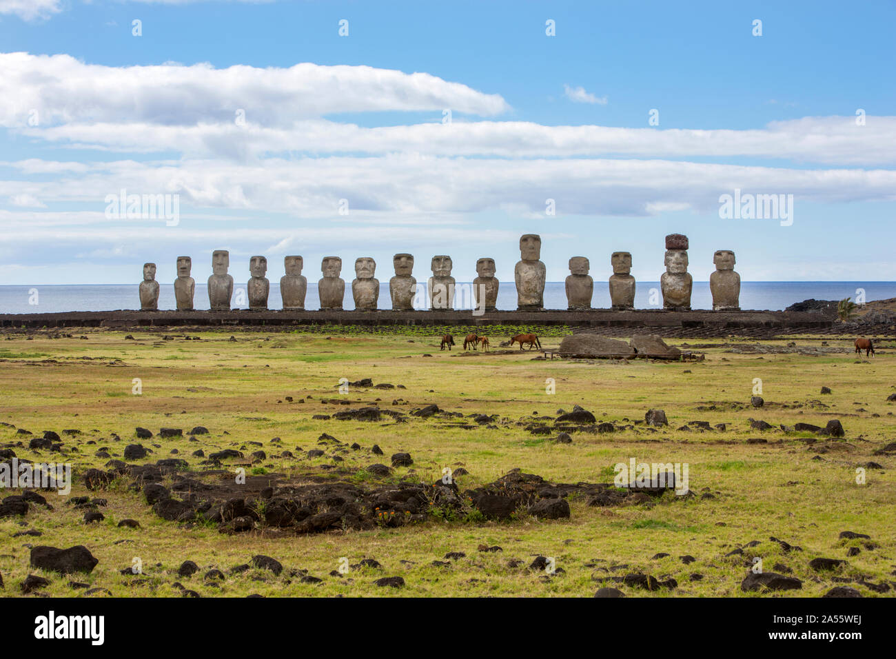 Moai Statues on Easter Island Stock Photo Alamy