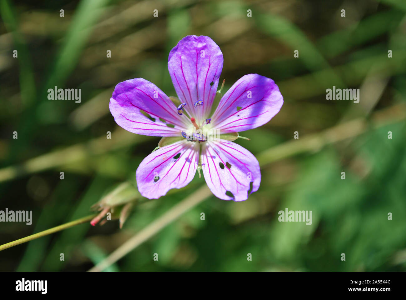 Bill kendall hi-res stock photography and images - Alamy