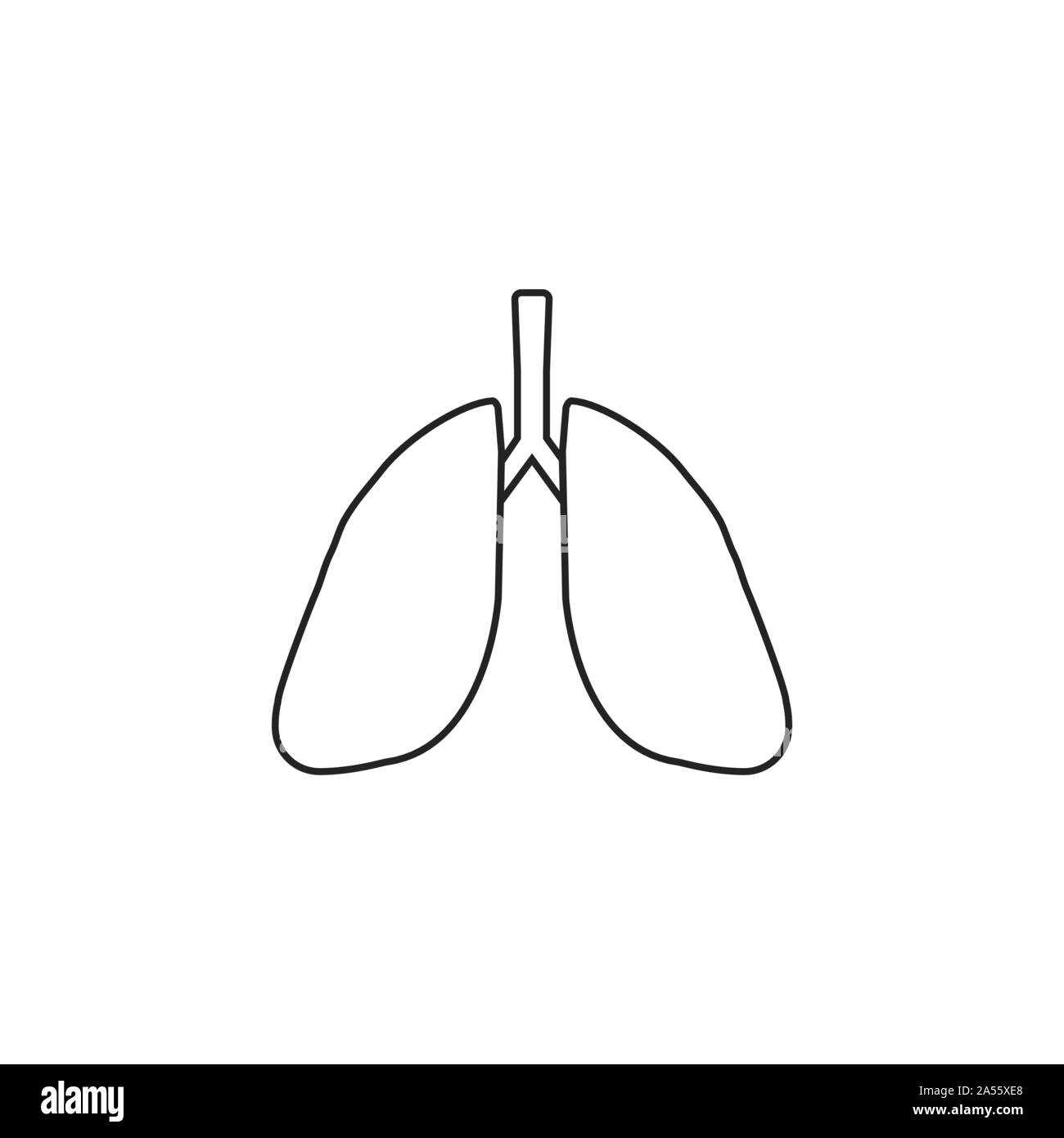 Respiratory system diagram Black and White Stock Photos & Images - Alamy