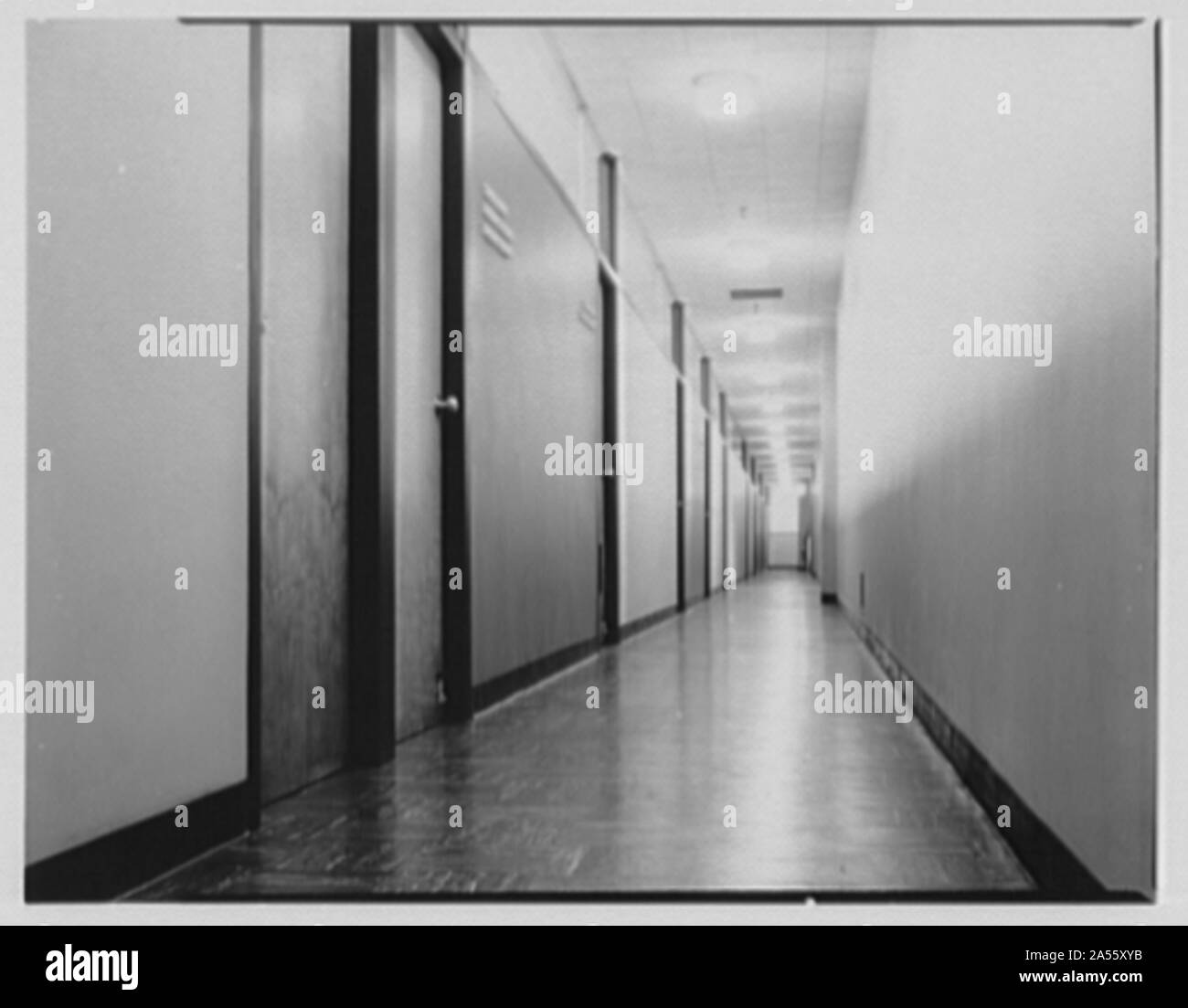 Van heusen 417 hires stock photography and images Alamy