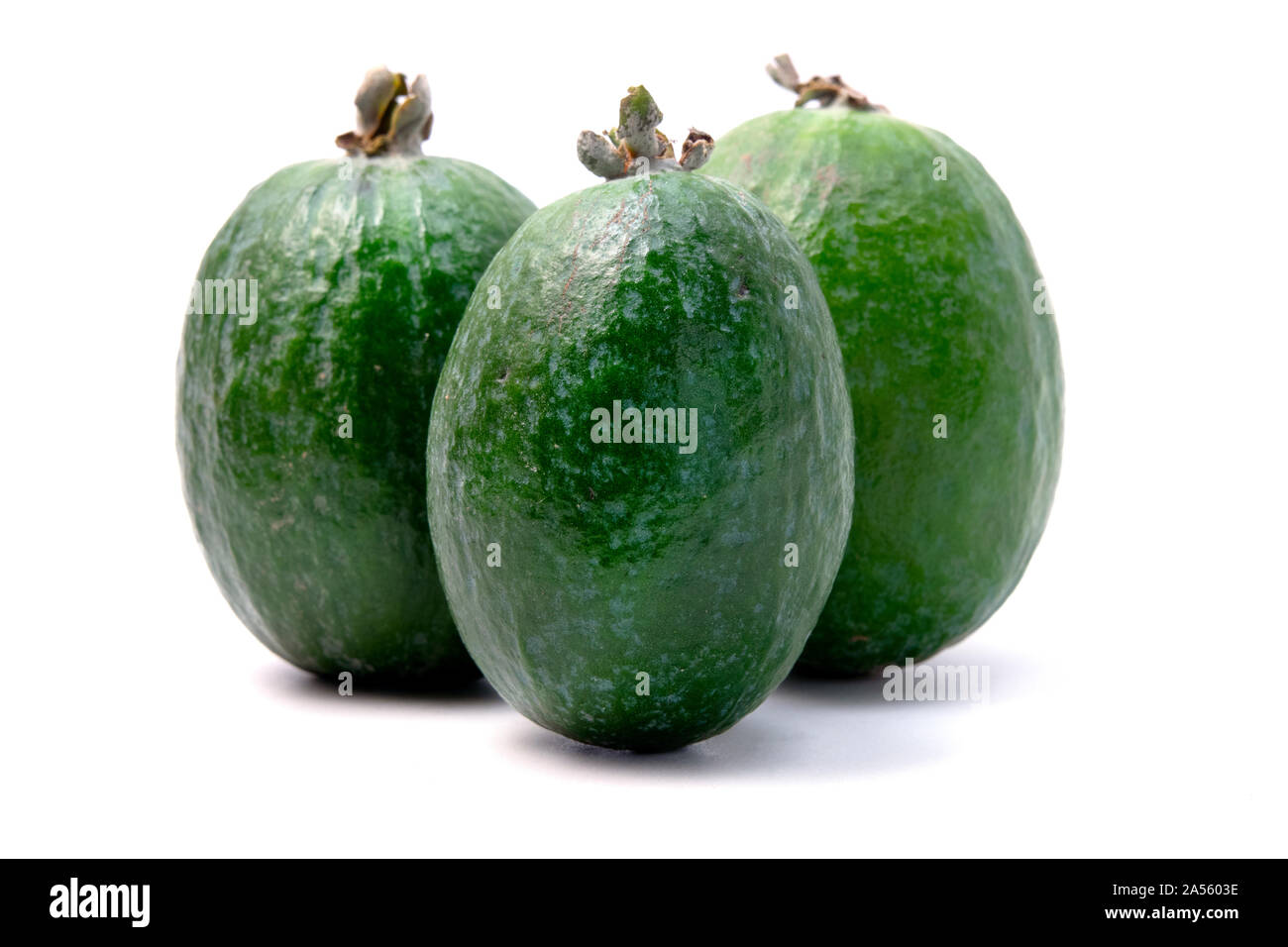 Feijoa on a white background Stock Photo