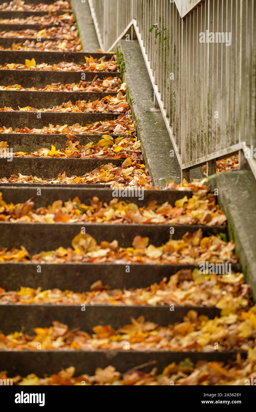 Closeup of a public staircase with metal railing in autumn covered with fallen slippery autumn leaves. Seen in Germany in October. Stock Photo