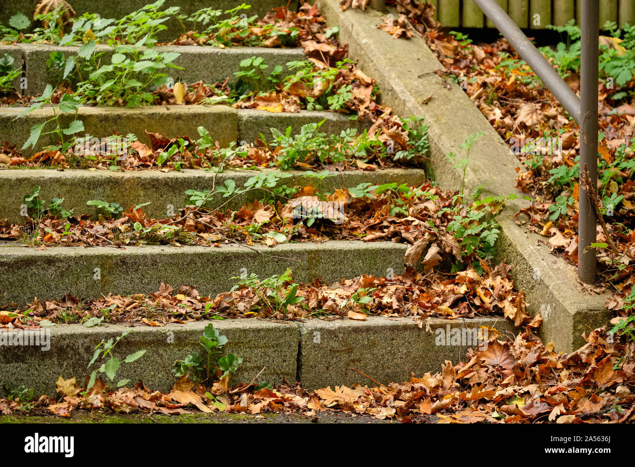 Public staircase with steel railing in autumn covered with fallen autumn leaves and plants growing out of the stairs. Seen in Germany in October. Stock Photo