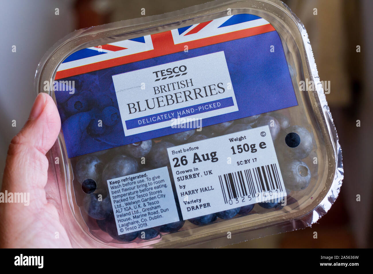 Plastic container of Tesco British blueberries Stock Photo Alamy