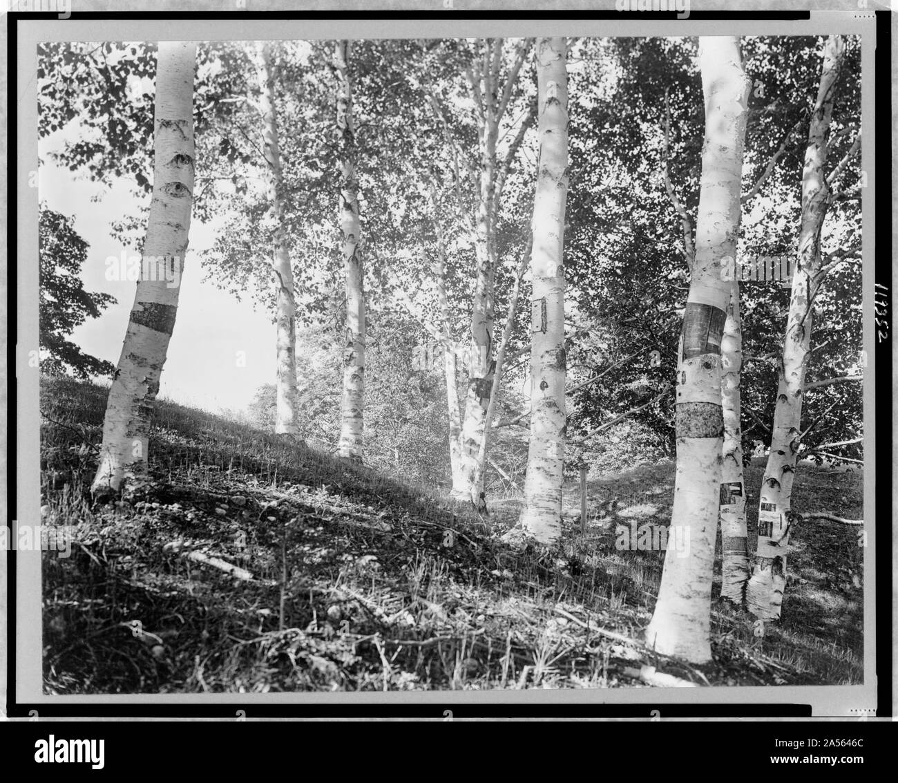 Vermont--Early morn Stock Photo