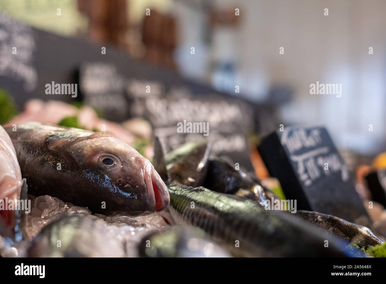 Fresh fish for sale at The Goods Shed, Canterbury farmers market, Kent