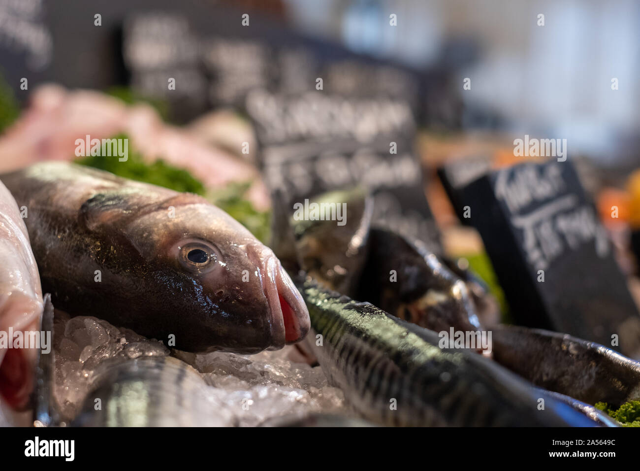 Fresh fish for sale at The Goods Shed, Canterbury farmers market, Kent
