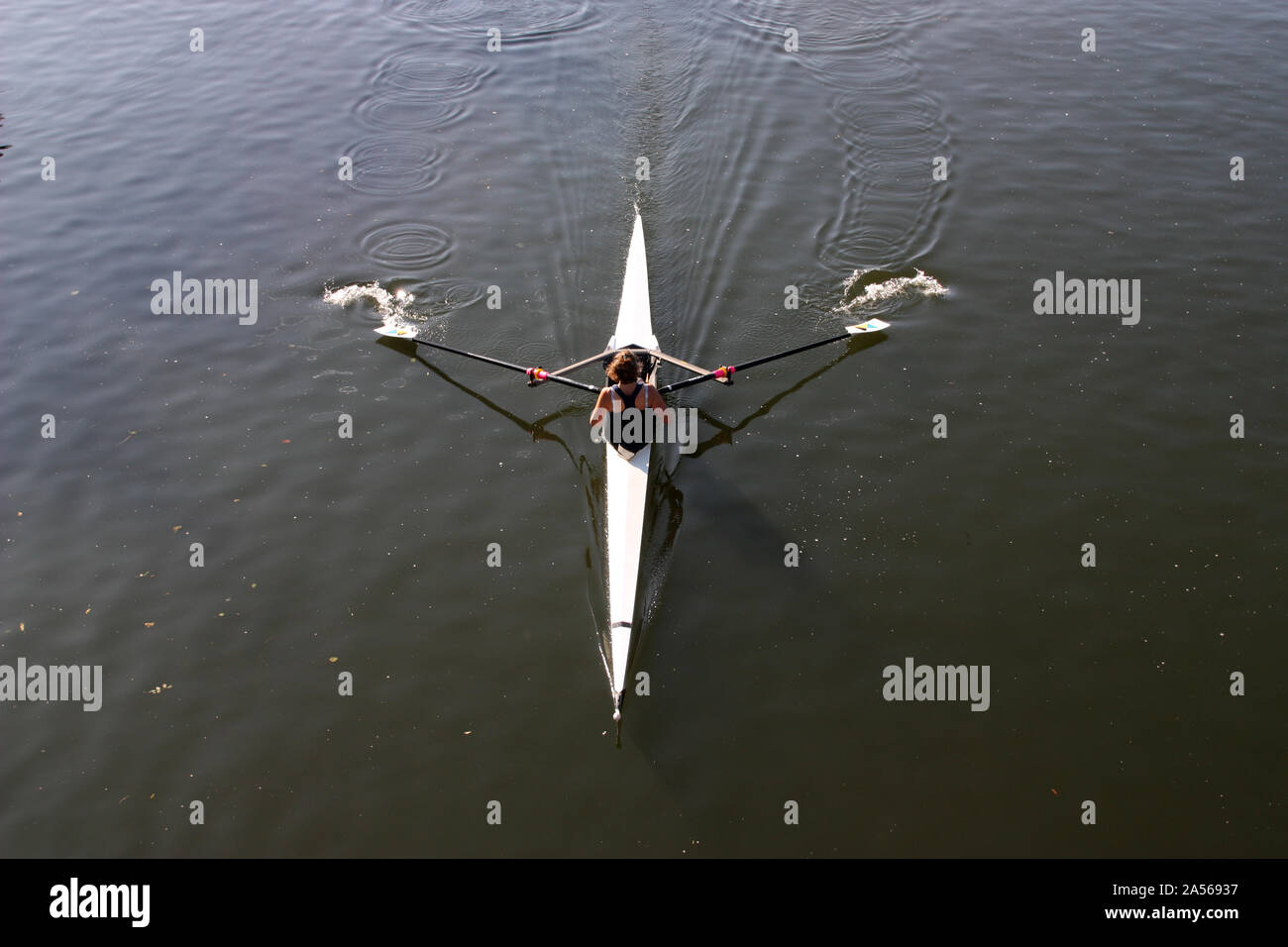 Aerial view of a rower rowing a single skull in Oxford on the Thames