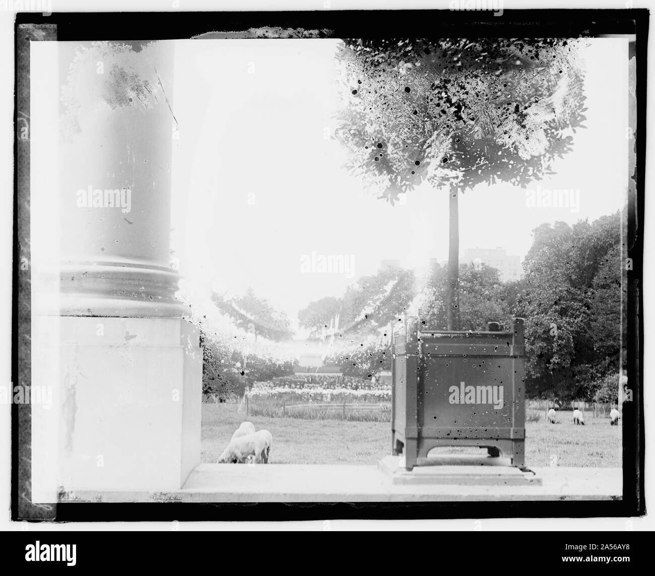 White house view from washington Black and White Stock Photos & Images ...