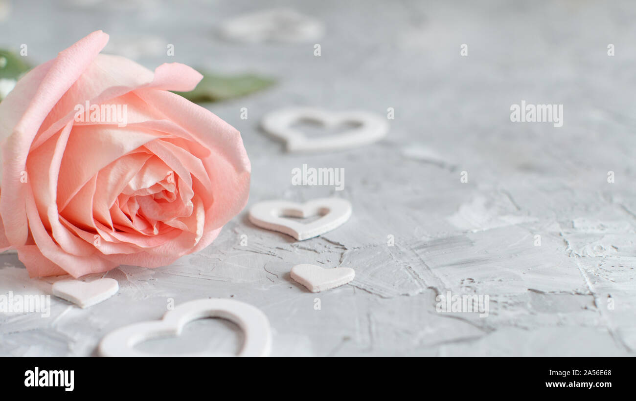 Pink rose with hearts on a grey background Stock Photo - Alamy