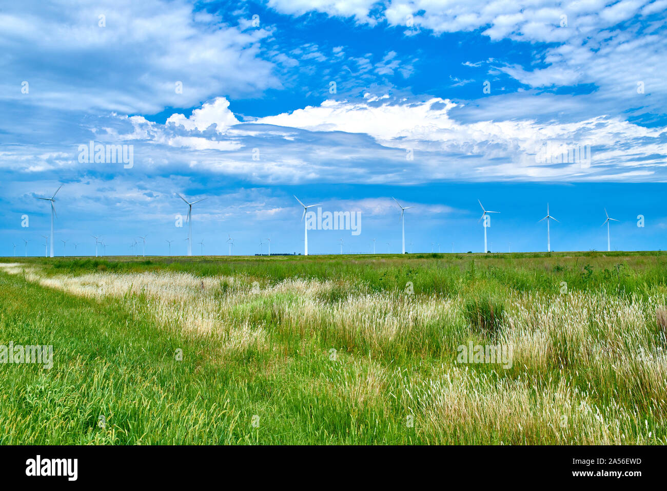 Windmills on the Open Plains of Kansas Stock Photo Alamy