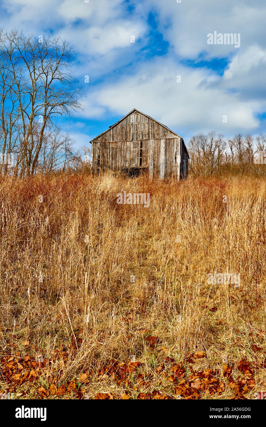 Barn in Tall Grass with Blue Sky and Clouds Stock Photo - Alamy