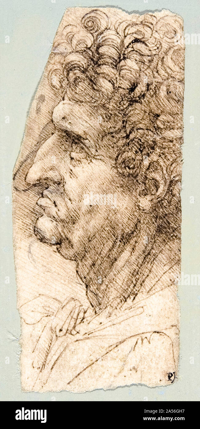 Leonardo Da Vinci, Head of a Man in Profile facing to the left, drawing, 1490-1494 Stock Photo