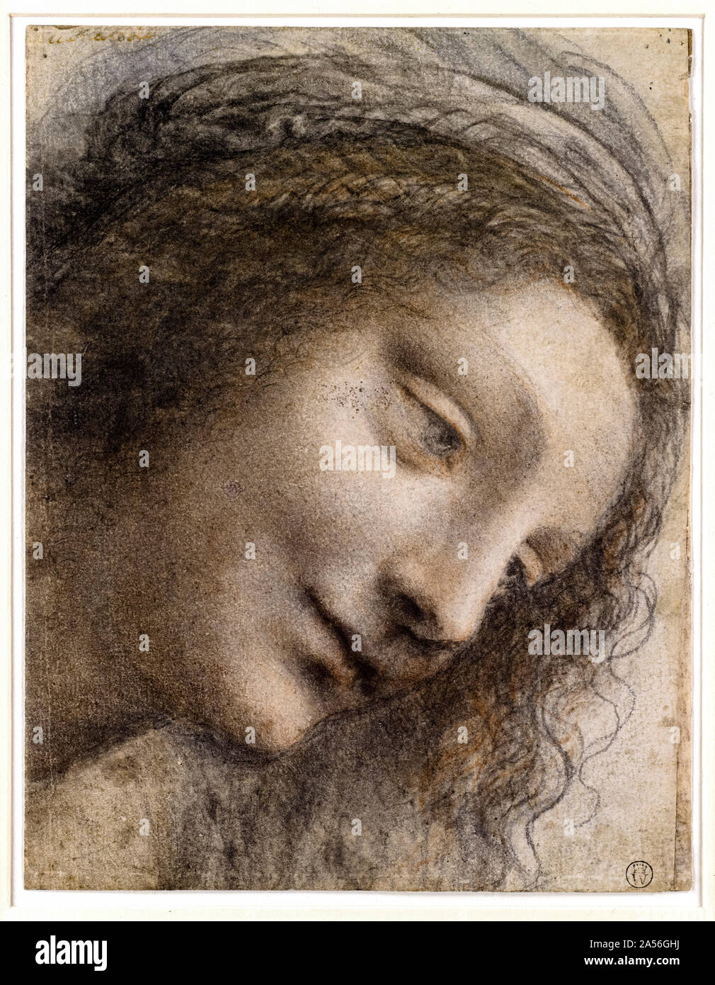 Leonardo Da Vinci, drawing, The Head of the Virgin in three-quarter view facing right, 1510-1513 Stock Photo