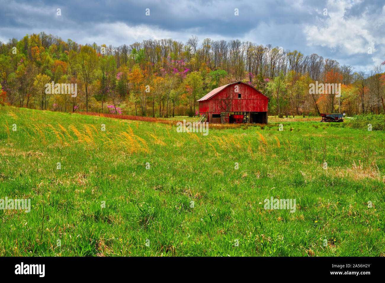 Red barn in a hay field with budding Spring trees in the background ...