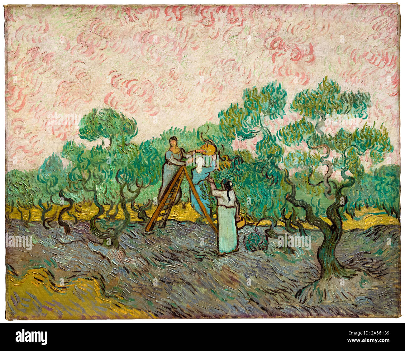 Vincent van Gogh, landscape painting,  Women Picking Olives, The Olive Orchard, (NYC), 1889 Stock Photo