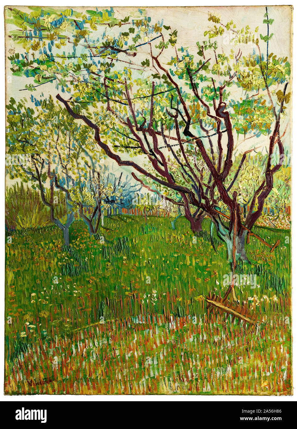 Vincent van Gogh, The Flowering Orchard, landscape painting, 1888 Stock Photo