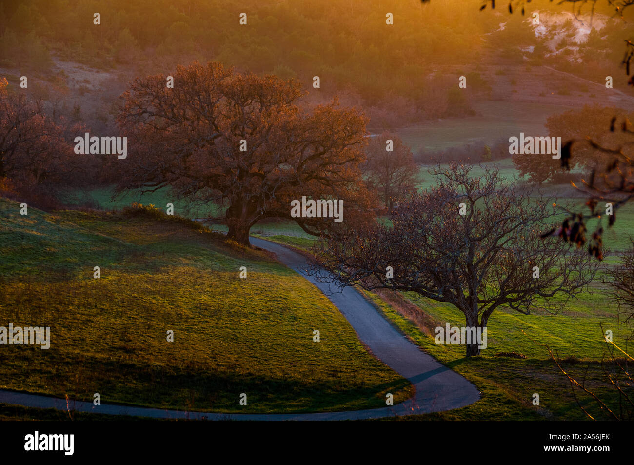 winding road in the autumn countryside, with evening light provence ,France. Stock Photo