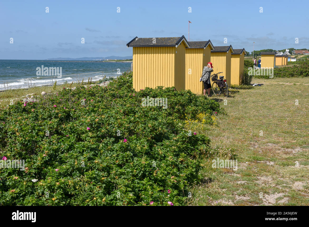 Viken, Sweden - 29 June 2019: people sunbathing on the beach of Viken on Sweden Stock Photo