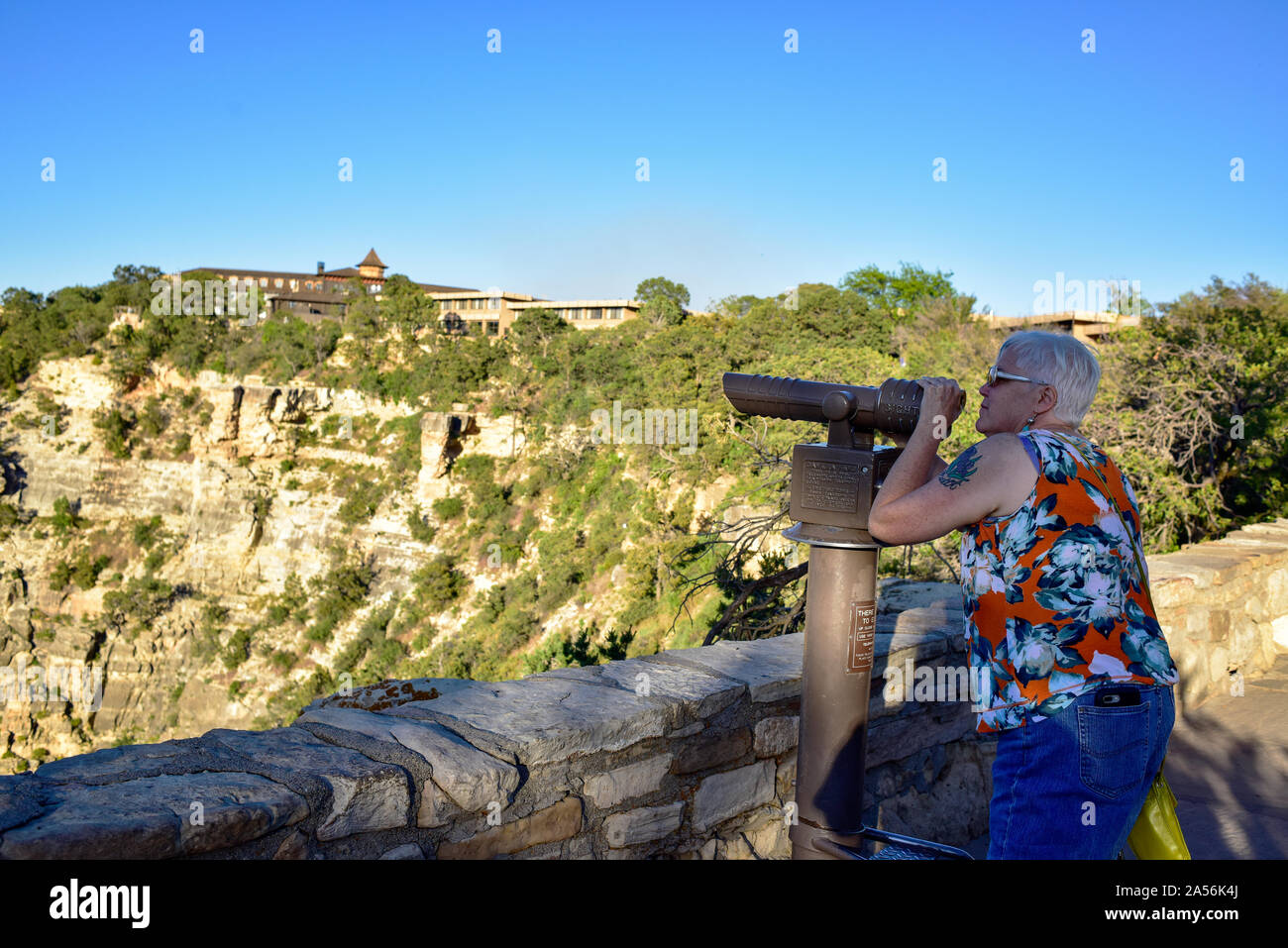 Viewing area with scope at the Grand Canyon, North Rim Stock Photo