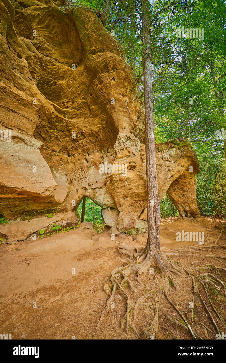 Angel Window Arch, Red River Gorge  KY. Stock Photo