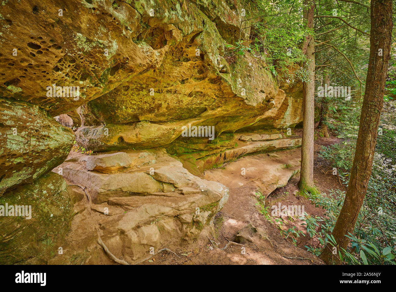 Rock Shelter, Red River Gorge  KY. Stock Photo