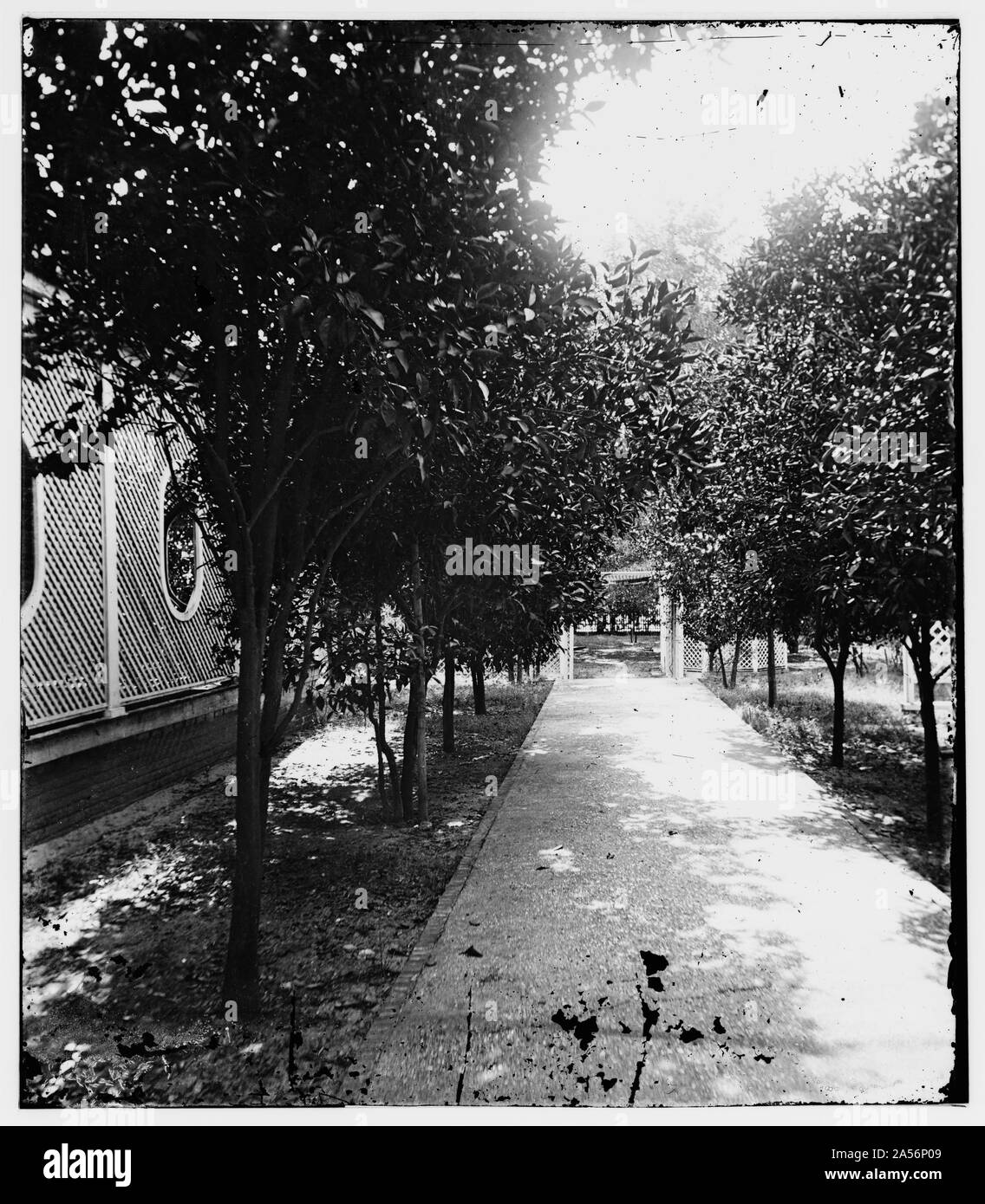 Clear path pathway Black and White Stock Photos & Images - Alamy