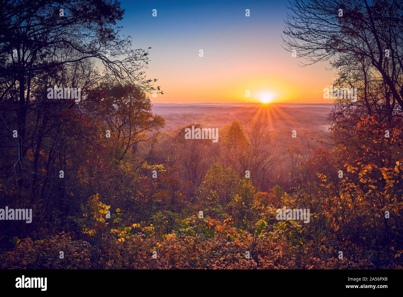 Sunrise With Fall Foliage. Stock Photo