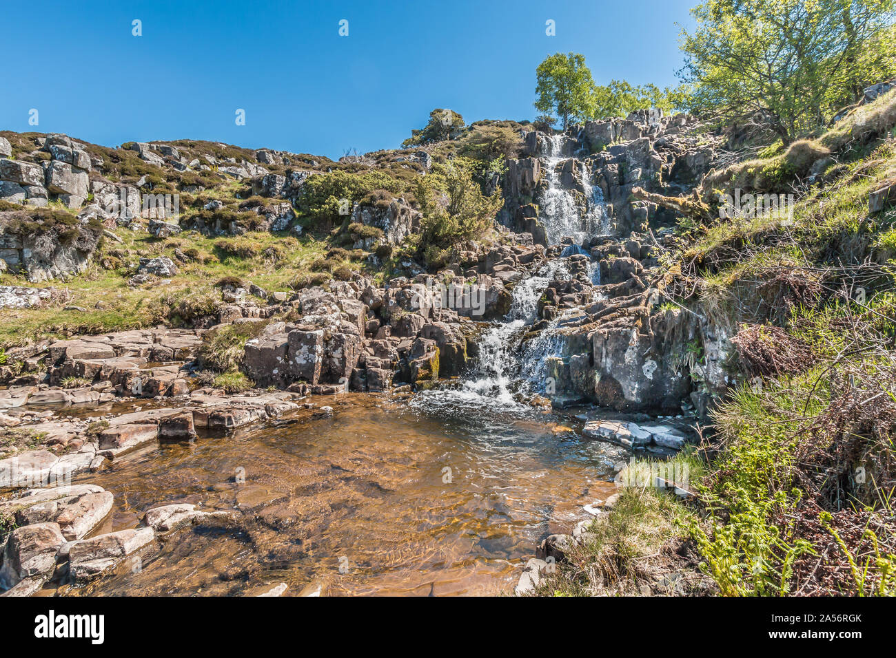 Spring at Blea Beck Force waterfall, Upper Teesdale Stock Photo