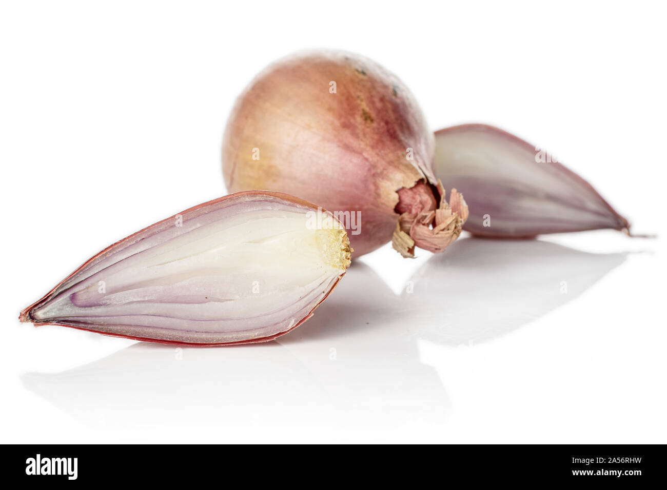 Shallots are One of the Worlds Main Cook Stock Image - Image of  originating, organ: 229806845