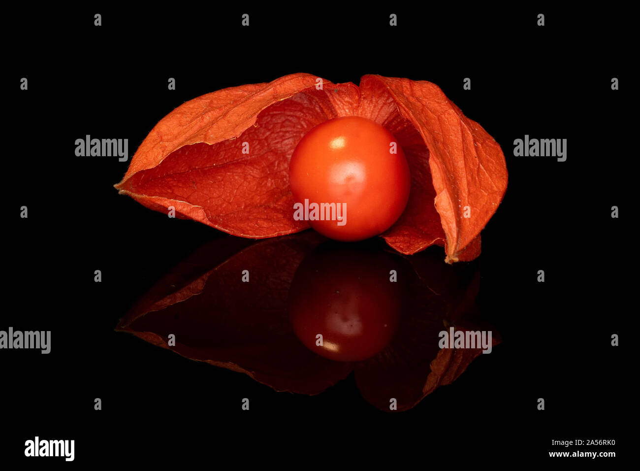 One Whole Fresh Orange Physalis Isolated On Black Glass Stock Photo Alamy