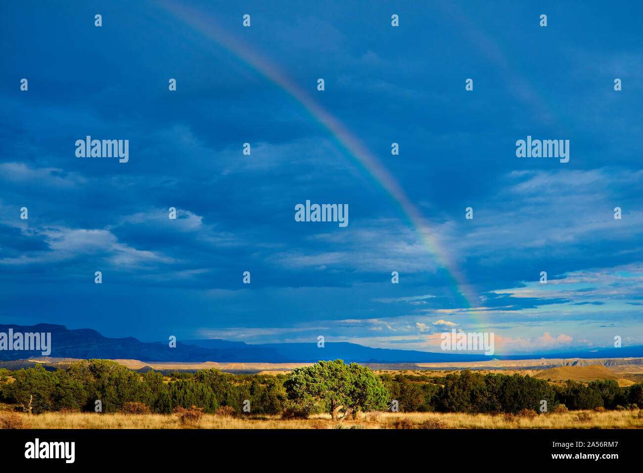 Desert Rainbow After the Storm Stock Photo - Alamy