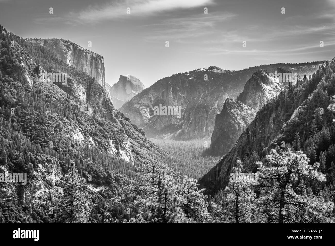 Yosemite Valley B&W. Stock Photo