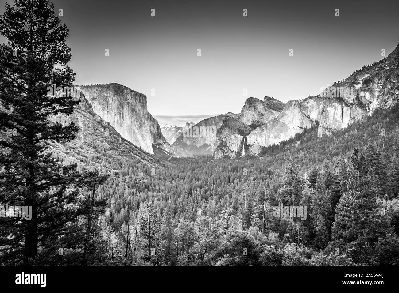 Yosemite Valley at Dusk B&W. Stock Photo