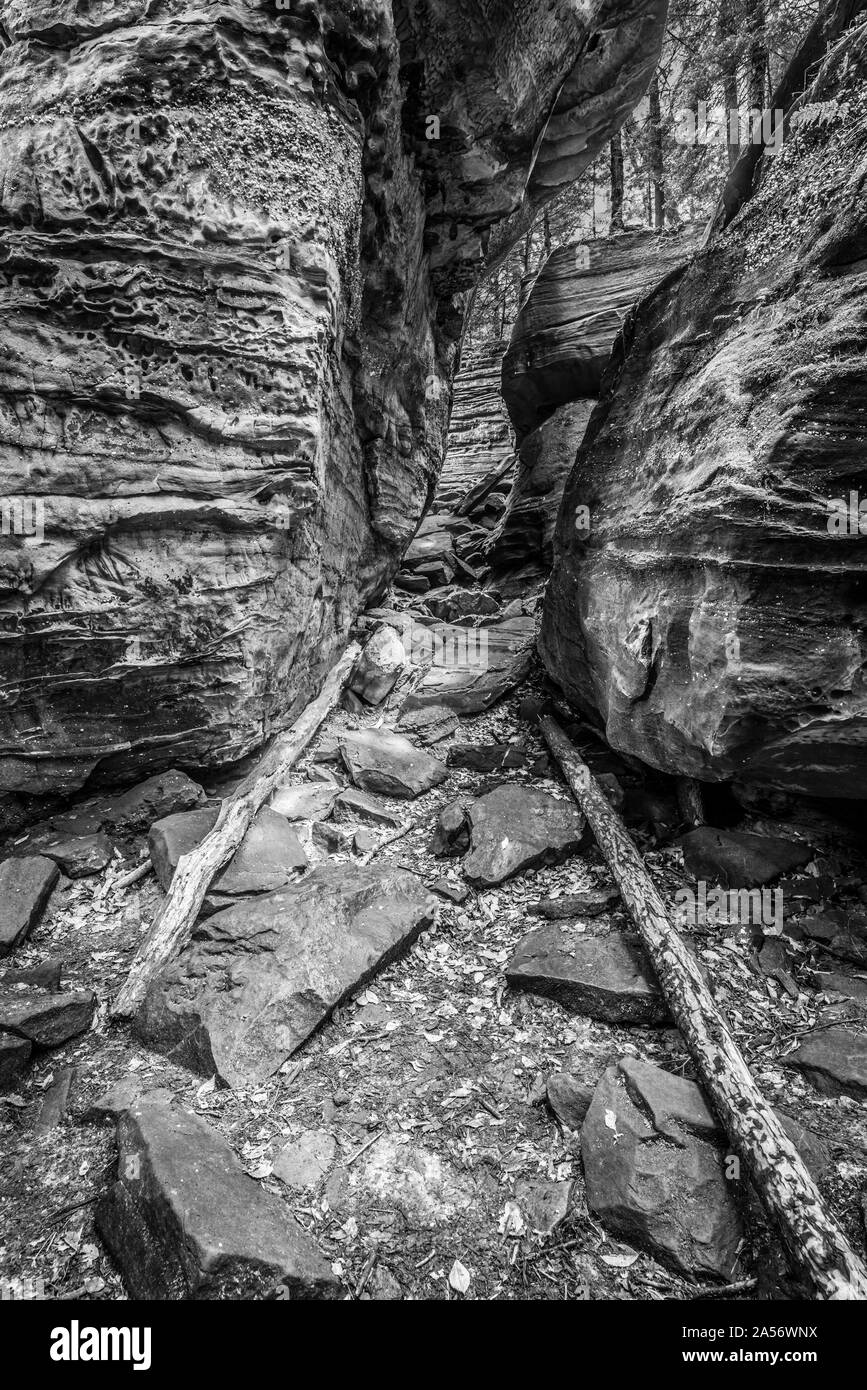 The Ledges, Cuyahoga National Park. Stock Photo