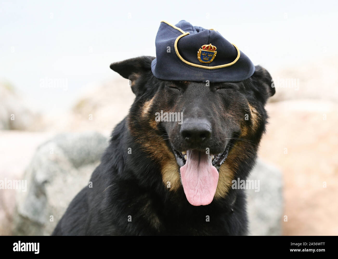 Swedish police enforcement hi-res stock photography and images - Alamy
