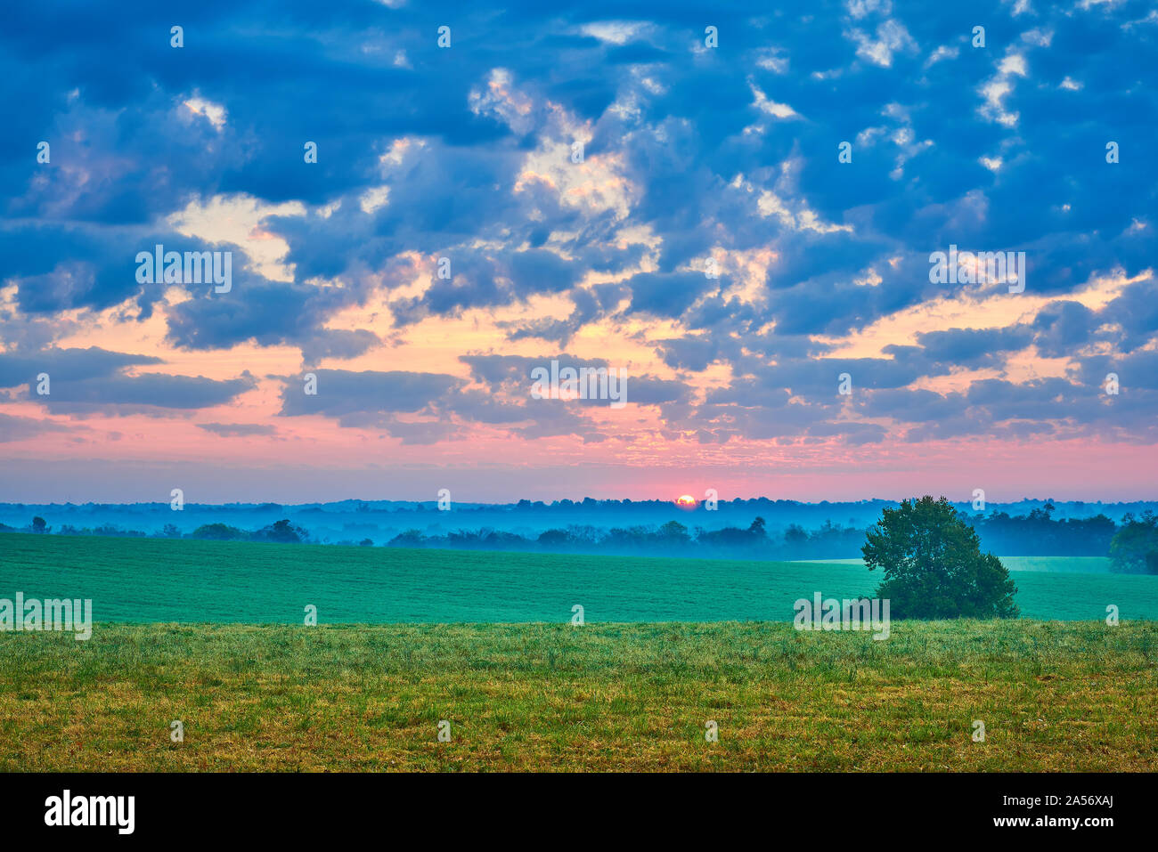 Sunrise over field hi-res stock photography and images - Alamy