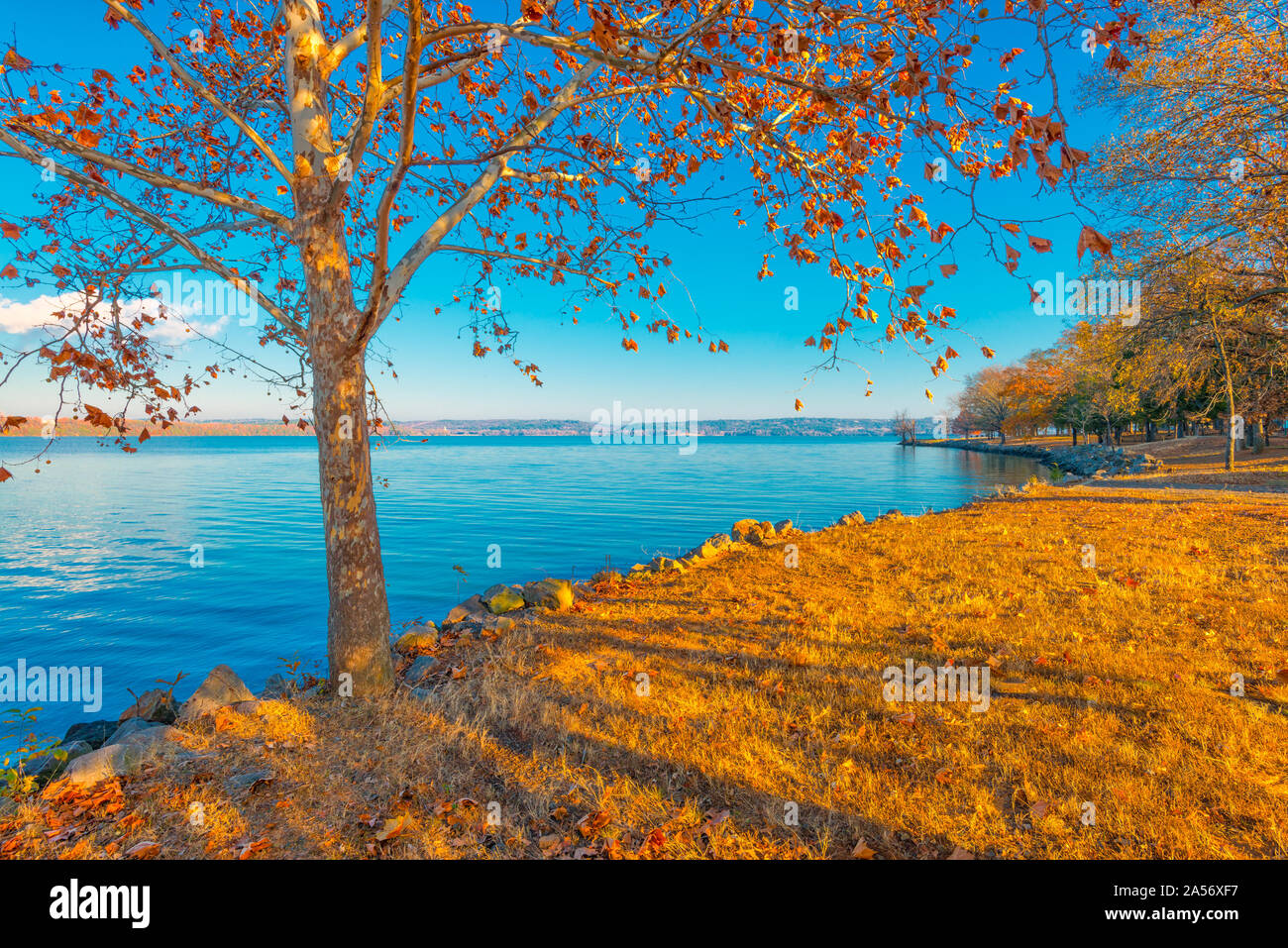 Lake Dardanelle Stock Photo Alamy