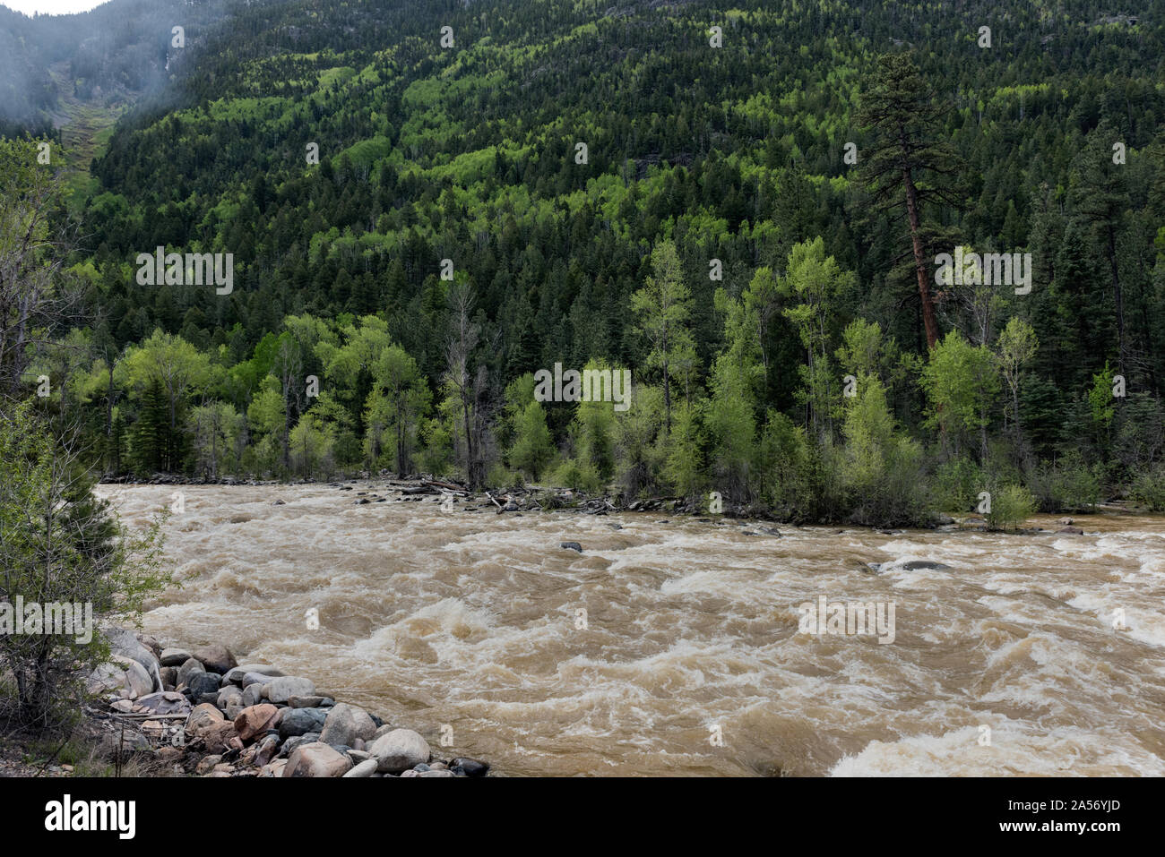 View of the rushing Animas River from the Durango & Silverton Narrow ...