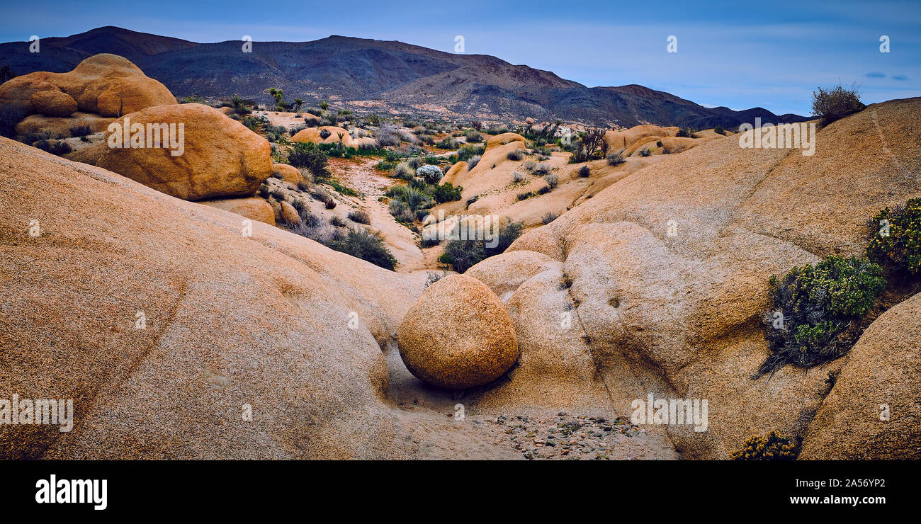 Boulder in a wash with Pinto Mountains in the background at Joshua Tree National Park. Stock Photo