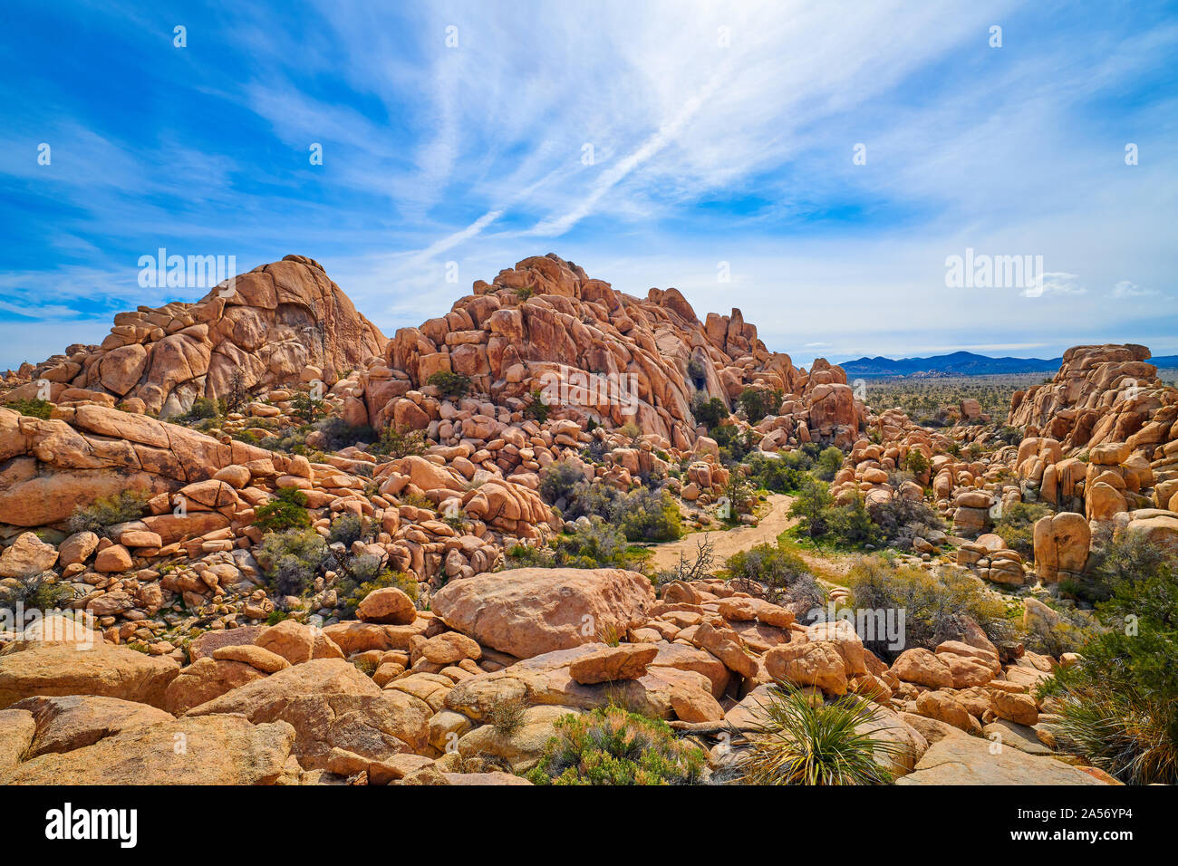 Yucca Vacation High Resolution Stock Photography and Images Alamy