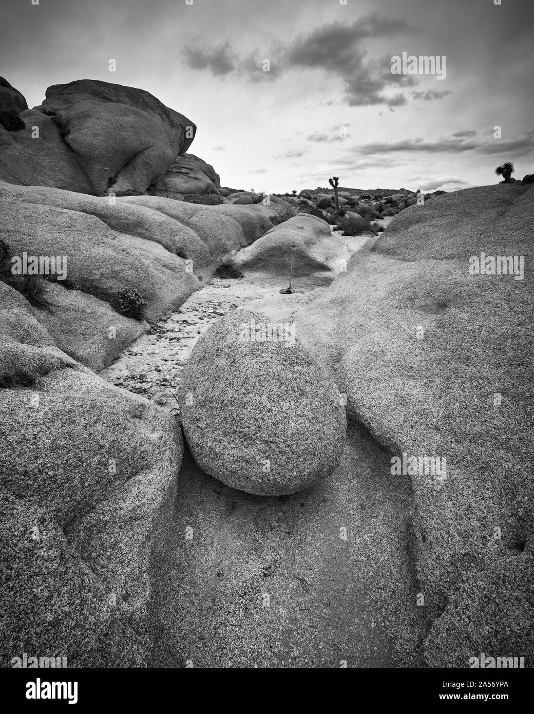 Boulder In a Wash at Joshua Tree National Park. Stock Photo