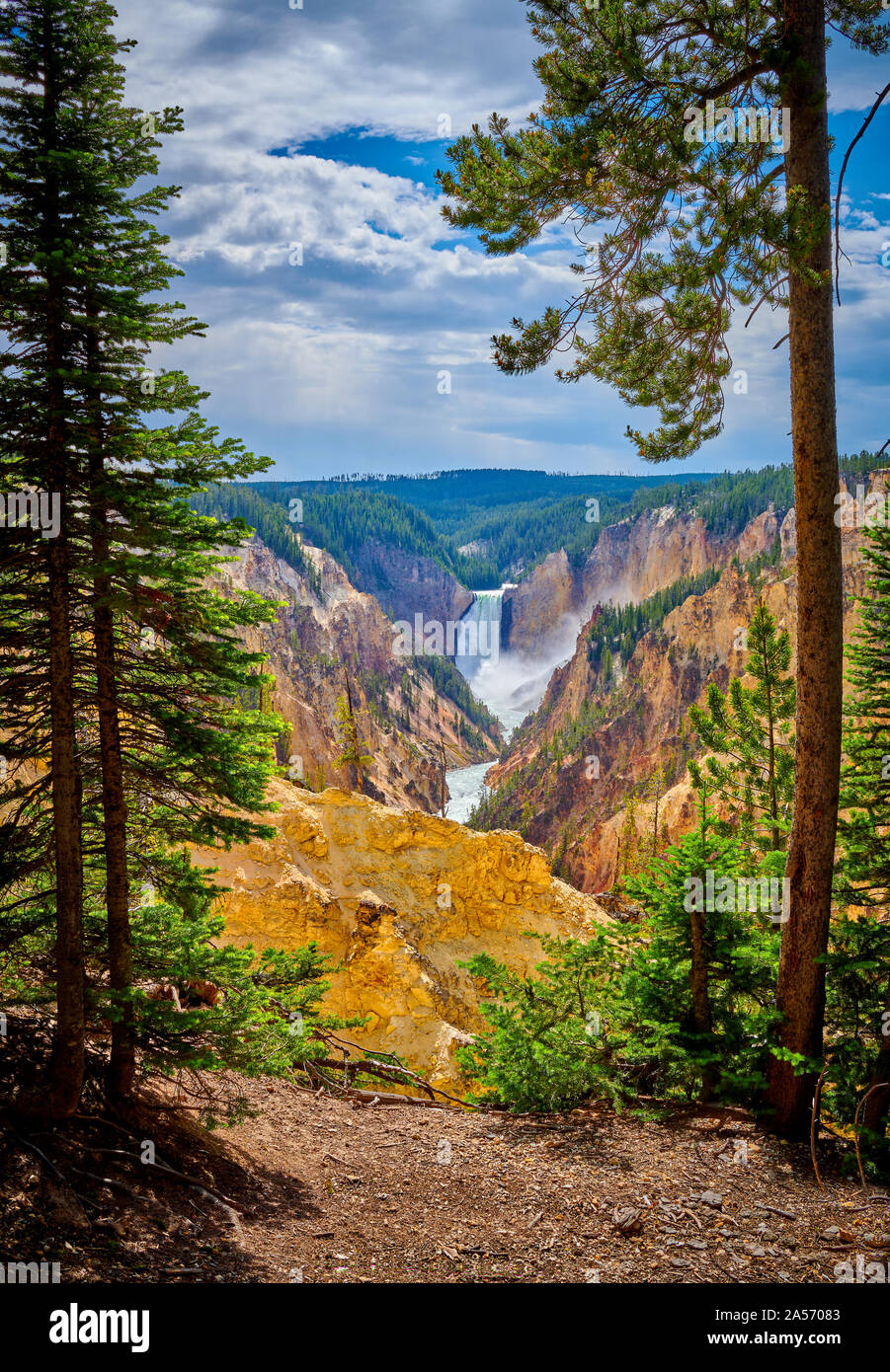 Veiw of Lower Yellowstone Falls through the trees with the Grand Canyon of the Yellowstone at Yellowstone National Park, Wyoming, USA. Stock Photo