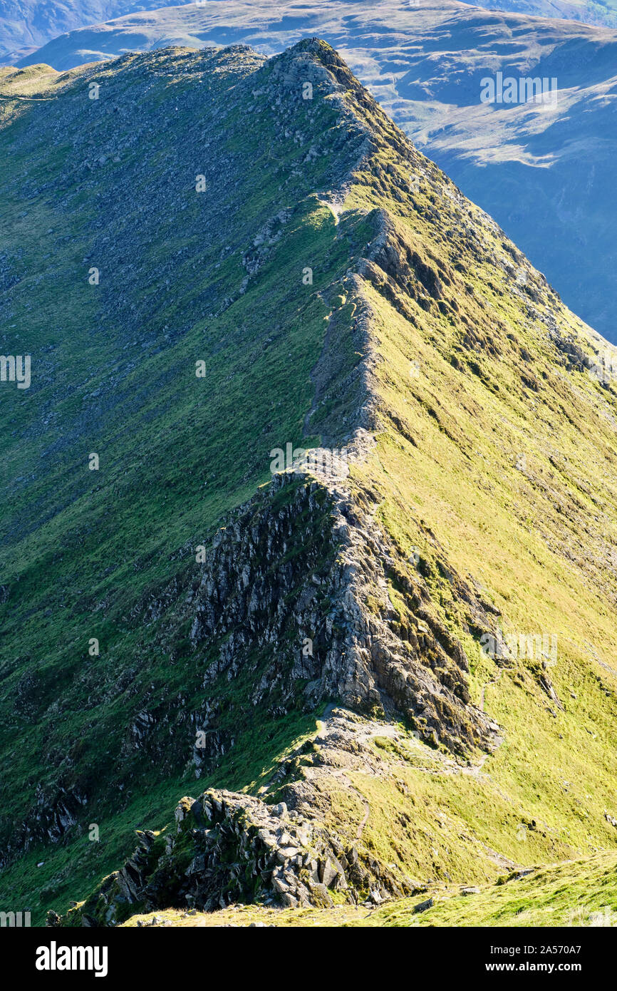 Striding Edge below Helvellyn, Lake District, Cumbria Stock Photo - Alamy