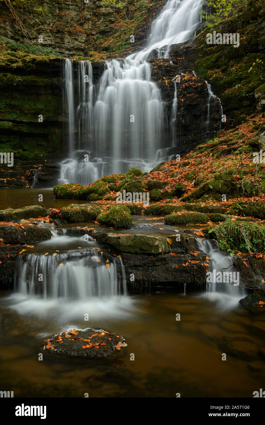 Scaleber Force waterfall in the Yorkshire Dales surrounded by autumn colours. Stock Photo