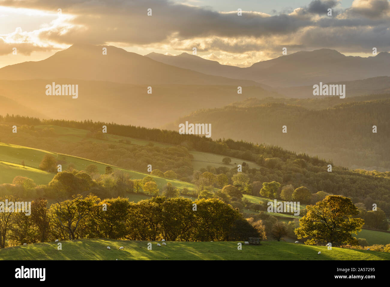 Landscape view over the forest of Betws-y-Coed, Snowdonia, with Moel Siabod and surrounding mountains towering above. Stock Photo