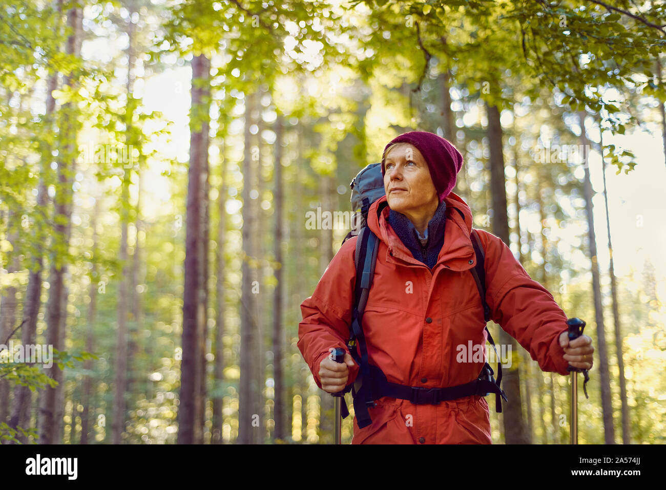 Middle age trekker admires the beautiful nature Stock Photo