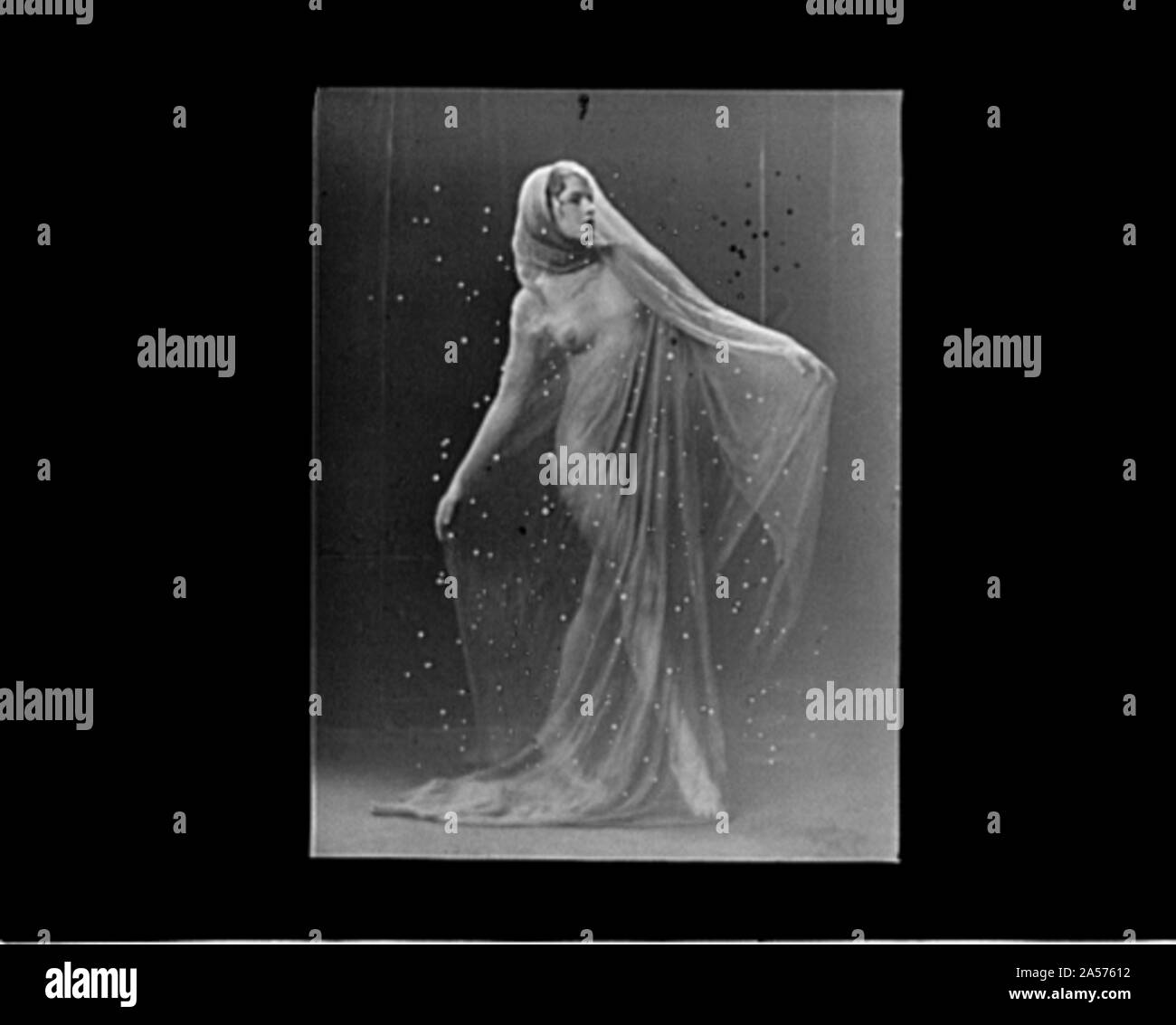 Violet marcellus hires stock photography and images Alamy