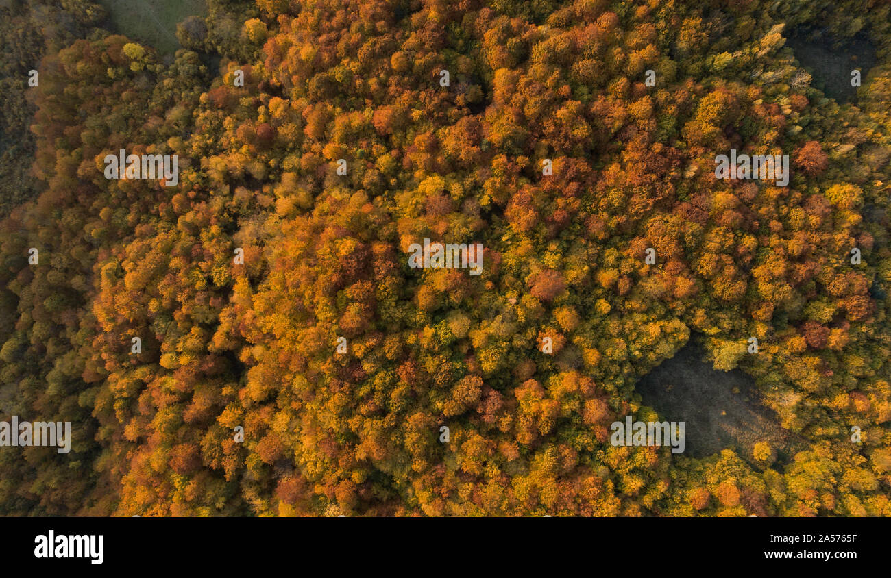 Flight above grass field forest hi-res stock photography and images - Alamy