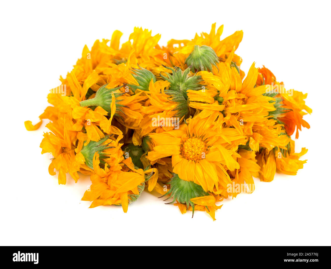 Dried calendula flowers isolated on white background. Medicinal herbs